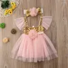 Girl Dresses 0-24 Month Baby Girls Formal Dress Infant Cute Pink Lace Princess Wedding Party Gown Short Sleeves Tutu