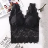 Canotte Canotte Donna Sexy Imbottito Top Wireless Femminile Floreale Donna Lingerie Gilet Tube Wire Free Reggiseno confortevole