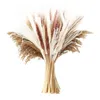 Fleurs décoratives Couronnes Herbe 65pcs 45cm Moelleux Exagéré Arrangement De Fleurs Plante Sèche Maison Mariage Décor BeigeDecorative DecorativeD