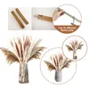 Fleurs décoratives Couronnes Herbe 65pcs 45cm Moelleux Exagéré Arrangement De Fleurs Plante Sèche Maison Mariage Décor BeigeDecorative DecorativeD