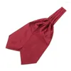 رابط القوس رجال للرجال TIE NECKTIE ASCOT GIFT PARTOSIES CLARAVATE