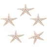 Decorações de Natal 100pcs mini decoração de artesanato de estrelas do mar Natural Stars mares