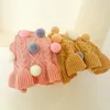 Dog Apparel Winter Pet Clothes Warm Dress Princess Puppy Ball Maruko Wool Skirt Cold Teddy Tutu Coat For Small Dogs