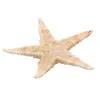 Decorações de Natal 100pcs mini decoração de artesanato de estrelas do mar Natural Stars mares