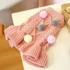 Dog Apparel Winter Pet Clothes Warm Dress Princess Puppy Ball Maruko Wool Skirt Cold Teddy Tutu Coat For Small Dogs
