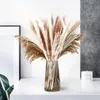 Flores decorativas grinaldas grama 65pcs 45cm Fluffy Exagerado Flower Decor de planta seca Decoração de casamento beigedecorativa