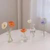 Vases Transparent Glass Vase For Plant Nordic Simple Flower Ins Creative Hydroponic Terrarium Table Decorative Pot