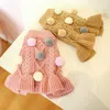 Dog Apparel Winter Pet Clothes Warm Dress Princess Puppy Ball Maruko Wool Skirt Cold Teddy Tutu Coat For Small Dogs