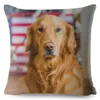 Poduszka urocza Golden Retriever Pet Dog Cover 45 Square Covers Linen Case Sofa