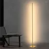 Lampadaires nordique Led salon minimaliste noir métal Luminaria lumière debout luminaires intérieurs décor à la maison