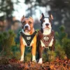 Colliers pour chiens Harnais durable Gilet pour chiens personnalisé pour une grande fête d'entraînement avec poignée de plaque signalétique anti-perte