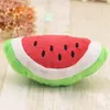 Cat Toys PipiFren Watermelon Cats Accessories Small Dog Products For Pets Kitten Interactive Toy Katzenspielzeug Cuccia Gatto