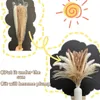 Decoratieve bloemen 75 stks gedroogd pampas gras decor 17,5 inch droog voor boho thuis bruiloftsfeestje