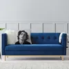 Travesseiro /decorativo Timothee Chalamet Square Case Decor de casa dos anos 90 TV SHOW SOG para a sala de estar Printing dupla face /