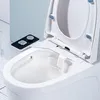 Badaccessoire Set Bidet Toiletstoel Bevestiging Verstelbare waterdrukwas voor de badkamer