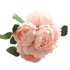 Dekorativ blommor Blomma vas med konstgjord 1 bukett 6 huvuden Peony Silk Wedding Party Decor Fall Garland