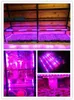 Luces de cultivo, luz Led para plantas, tubo T5, rojo, azul, cultivo de vegetales para plantas de flores, hidroinvernadero interior, caja de cultivo, jardinera