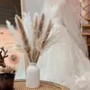 Decoratieve bloemen 75 stks gedroogd pampas gras decor 17,5 inch droog voor boho thuis bruiloftsfeestje