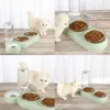 Cat Bowls matare Två-i-en Dog Bowl Food Drinker med automatisk pip Anti-Dumping Feeder Plastic Feeding Pet Accessories