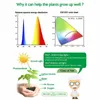 Grow Lights 5m Solar LED Full Spectrum Phyto Lamp 5V Light Strip 2835 Bead per piante Fiori Serra Cultivo Hydroponic