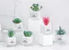 Dekorativa blommor kransar mini bonsai artificiell växt krukutgröna saftiga hantverksmaterial för hem badrum vardagsrum bordsdekorati