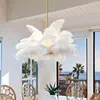 Подвесные лампы страуса с легким арт -деко -лампой гостиной