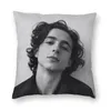 Travesseiro /decorativo Timothee Chalamet Square Case Decor de casa dos anos 90 TV SHOW SOG para a sala de estar Printing dupla face /