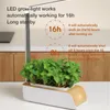 Grow Lights Hydroponics Sistema Cultivo da Cozinha Interior Planter Smart Kit LED LUZ