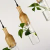 Pendant Lamps Lights Plant Hanging Lighting Fixture Wood Glass LED Bar Restaurant Kitchen Dining Bedroom Hall Living Room Decor Lamp