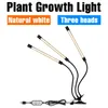 Grow Lights LED Light Hydroponics Phytolamp For Plants Flower Seeds Growbox Phyto Lamp With Timing Dimmable Indoor Cultivation