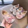 Flat Shoes Baby Girls Autumn Toddler First Walkers Sweet Kids Student Fashion Shoe Soft Bottom SOB002