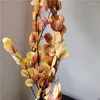 Decoratieve bloemen ongeveer 60 cm echt gedroogd natuurlijk fris voor altijd appelbladeren eucalyptus takken bewaard voor thuisdecoratie bruiloft