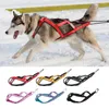 Collari per cani Imbracatura da slitta riflettente Pet Weight Pulling Slittino per cani di grossa taglia Mushing X Imbracature posteriori Skijoring Scootering