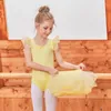 Stage Wear Fairy Ballet Skirt Tulle Performance Costume Classical Dance Costumes Gymnastics Clothes Girls JL3637