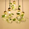 Pendant Lamps Lights Plant Hanging Lighting Fixture Wood Glass LED Bar Restaurant Kitchen Dining Bedroom Hall Living Room Decor Lamp