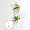 Vaser vägg hängande terrarium blomma planter propagator för skärning av trädgårdsdekor