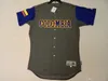 Koszulki baseballowe Kolumbia Baseball Jersey Reynaldo Rodriguez Mauricio Ramos Meibrys Viloria Jhonatan Solano Edgar Renteria Orlando