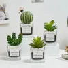 Ghirlande di fiori decorativi B-LIFE Piccole piante artificiali in vasi di vetro Finte piante in vaso Artificiali Decorativas Verde per la casa Dec