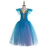 Stage Wear 2023 Girls Ballet Dance Skirt Costume professionale per bambini Performance TUTU Women Long