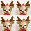 Abbigliamento per cani Natale Renne per animali domestici Vestiti Cosplay Costume da alce Felpa con cappuccio Cappotto Giacca Inverno Tuta con cappuccio calda Anno Forniture per gatti