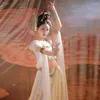 Stage Wear 2023 Cosplay Princess Costume Chinese Style Han Dunhuang Flying Classical Dance G44