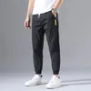 Herrenhose, Eisseide, Sommer, dünner Schnitt, Trend, All-Match, lässig, Sport, schnell trocknend, Harlan-Taille, neun Punkte