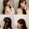 New Ins Texture Amber Scratch Clip Ribbon Acetate Hair Clips Cute HairPin Striped Styling Tool Hair Accessories 1497