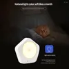 Night Lights Built-In Battery Human Body Induction Light Living Room Bedroom Study Remote Control Timing