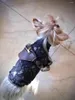 Siedziny samochodu dla psów w stylu skórzana torba posłańca torby krzyżowe plecak dla małych psów Schnauzer Yorkie Pomeranian YHB07