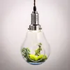 Lampes suspendues Plante Vase Plantes Restaurant Américain Créatif Verre Ampoule Décoration Éclairage Lampe Lumières Personnalité