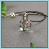 Colliers pendants Fleurs séchées à la mode pour femmes LED LUMINEL Collier de fleur Crystal Glass Ball Jewelry Drop Livrot Pendants Otiws