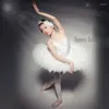 Scene Wear Children's Feather Fluffy Princess Swan Lake Ballet Costume Gaze Tutu Dress for Dance Performance Customized