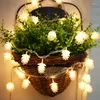 Strings String Lights LED Christmas Pine Cone Light Curtain Indoor Outdoor Home Windows Decoration Tree