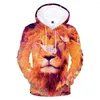 Heren Hoodies Doge Crown / Tiger Lion Gedrukte 3D Men Dames jongens meisjes kinderen kinderen lange mouw sweatshirt hoodie cartoon kleding